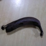 나의 평범한 일상 생활
