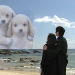 ▶싸이코 우리반 일상생활 ◀ -1편