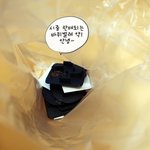 세스코 해충방제 받아서 나도 <b>바퀴</b>벌레 없애고 싶다ㅠ