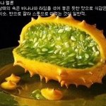 국내에선 듣도 보지도 못한 <b>과일</b> 모음