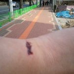 도와주세요 헤어진 남친이 절 죽이려고 해요..