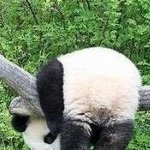 다들 안녕히<b>주무</b>셔잉