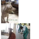 사진 有) 스타일 평가점...(수정)