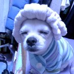 (사진 有) 물은 물이고 산은 산이로소이다~