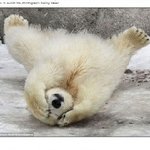 집에서 뒹굴고만 있는 당신~! 고지로 떠나라~!!!