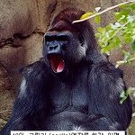 공포의 육지 <b>동물</b> 랭킹