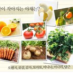 얼굴을 작게 해주는 야채는? 