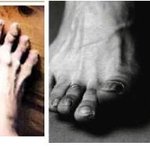 [올레/olleh] 세상 여러가지 <b>발들</b>의 모음 >_<