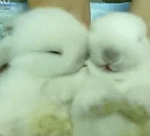 14살차이 돌<b>싱</b>아저씨 꼬시기..! 14탄