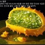 국내에선 듣도 보지도 못한 과일 직접먹어봐써요 ㅋㅋㅋ