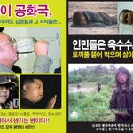 썩은 고기 먹어봤나?