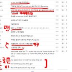 자기가 진짜 미국인인줄 아는얘