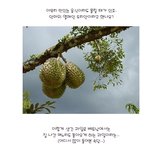 짜장돋는 <b>악마</b>의 음식 정리 ! 한번 먹으면 놓을 수 없다