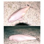 ★★즉흥여행!! ★★<b>대천</b>가서 고래 잡은사연!!!(사진 有!!!!...