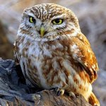 이런말하믄 ㅋㅋ <b>조혼</b>나 공기겠지만..........