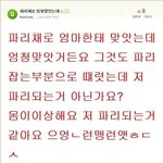 엄마한데 <b>파리채</b>로 엄청맞았어요 ㅠㅠㅠㅠ