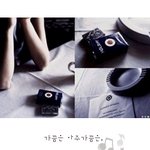 사랑중독 이라고 아시나요?