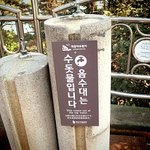 부산 태종대에는 <b>xxx</b>이 있다!!!!!