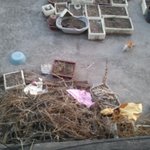 <b>도둑</b>고양이(길냥이)에게 먹을껄 주었어요.