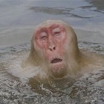 반바지를 입고 밖에서 똥을 쌌습니다.