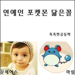●●●●●●●●●●●연예인 닮은꼴