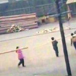 "北 '키 작은 종자'는 수용<b>소서</b> 씨말려"  <ㅡ진짜임?