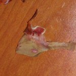 ㅅㅏ진 有 )피가 떨어지는 순대국