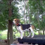 현상수배중입니다...(사진有)