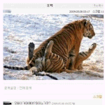 진지한 판 헤<b>꼬지</b> 하기