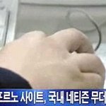 여러 <b>분야</b>들의 甲