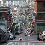 ☆★☆★<b>윌슨</b>미안해 .....<b>윌슨</b>!!!!!!!!!!!!!!!☆★☆★