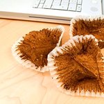 다이어트 갈팡질팡족을 벗어나자 