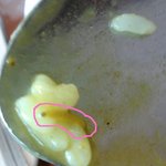 ★★현재 수련원 실태!!!! 꼭 읽어주세요ㅠㅠ