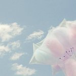 혈액형별 울 <b>때의</b> 행동