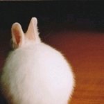 <b>단아</b>해