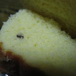 개미빵?? 빵에서 뭔가 검은 <b>물체</b>가 ㅡㅡ;; 개미같은데...