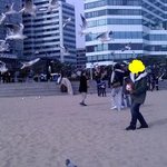 갈매기 똥 맞았어요.......사진 有
