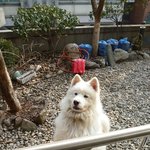 우리 단비좀 찾아주세요 ㅜㅜ