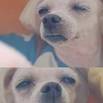 외로워 미쳐버릴꺼 같아요