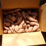 앞으로 홈쇼핑에서 고구마같은거 절대<b>사지</b>마세요