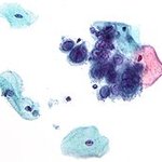 내부에 있는것과 <b>외부</b>에 있는 것의 차이