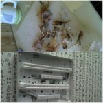 당황스러운 ...손님들 사진有
