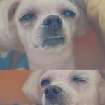 가가라이브에서만났던 <b>외근</b>이ㅠㅠ꼭찾고싶습니다!