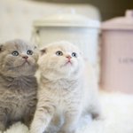 친구에게*^.^*♡love <b>story</b>