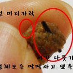 개<b>사료</b>에서 발톱, 금속, 머리카락 이물질 발견!!!