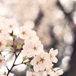 알쏭달쏭 알듯 말듯한 뷰티용어 설명!!