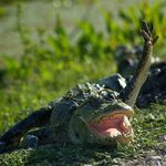 영국남친과의 일화 004