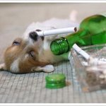 외롭다는 <b>모태</b>솔로들! 지금은 연애중임이 하는 리얼충고! 2 편