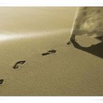 - <b>무라카미</b> 하루키의 상실의 시대 중에서~!!!