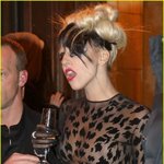 한마리의 <b>치타</b>가 되고 싶었던 레이디 가가